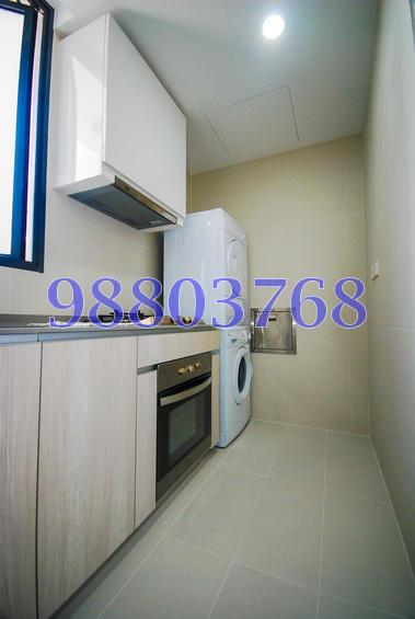 The Luxurie (D19), Condominium #76956232